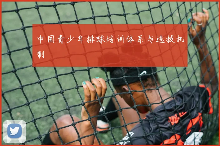 中国青少年排球培训体系与选拔机制