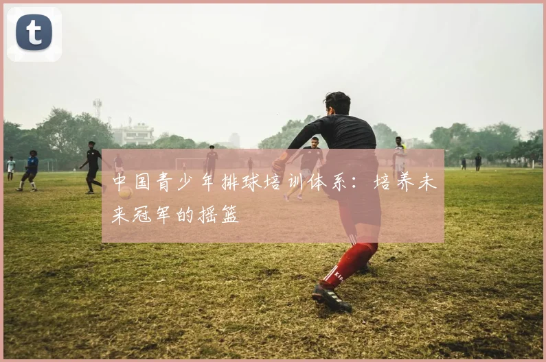 中国青少年排球培训体系：培养未来冠军的摇篮