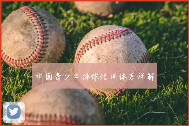 中国青少年排球培训体系详解