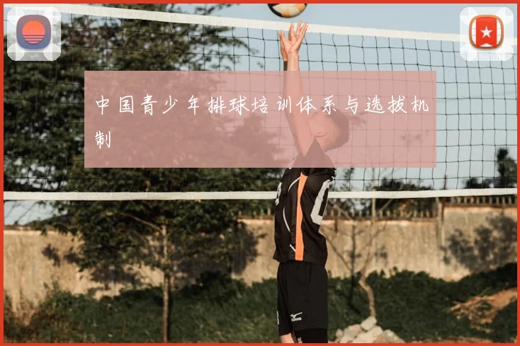 中国青少年排球培训体系与选拔机制
