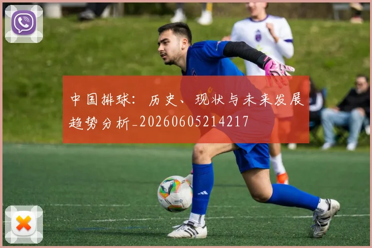 中国排球：历史、现状与未来发展趋势分析_20260605214217