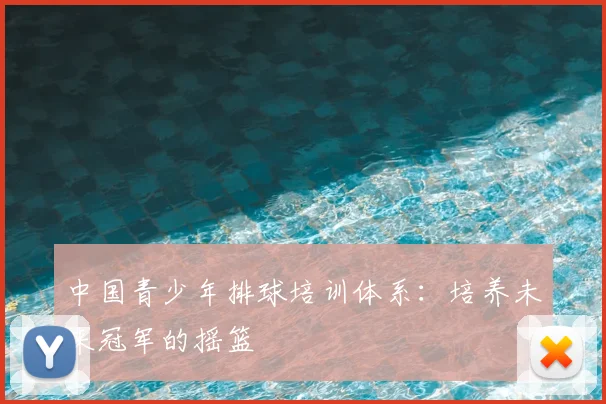 中国青少年排球培训体系：培养未来冠军的摇篮
